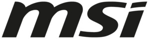 MSI COMPUTER CORP