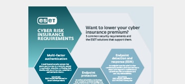 PDF OPENS IN NEW WINDOW: Read about Cyber Risk Requirements