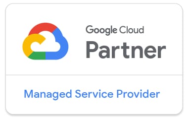 Google MSP Badge