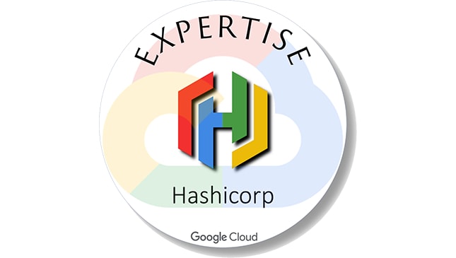 Google Hashicorp Icon