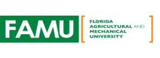 FAMU Florida A&M University Logo