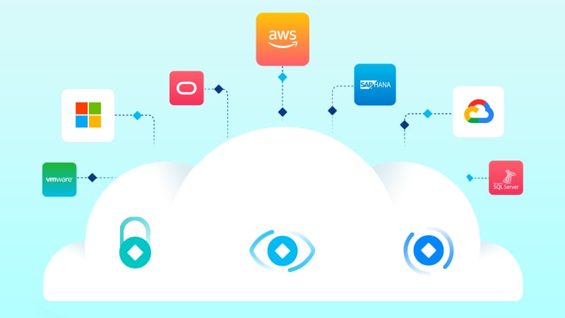 Rubrik Security Cloud Alliances Partners