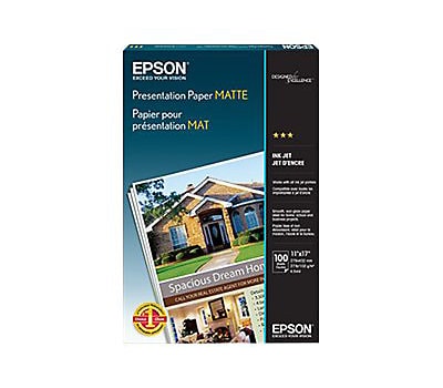 Epson - paper - 100 pcs. - Ledger - 105 g/m² - S041070 - Paper & Labels 