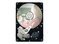 Seagate DB35 Series ST3250824ACE - hard drive - 250 GB - ATA-100