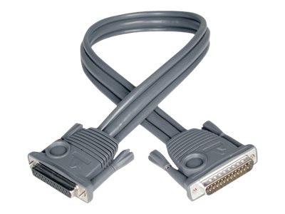 Eaton Tripp Lite Series 15ft KVM Switch Daisychain Cable for B020 / B022 Series KVMs 15' - stacking cable - 15 ft