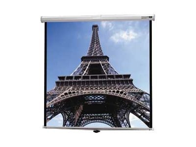 Da-Lite Deluxe Model B 60"x60" Projector Screen 
