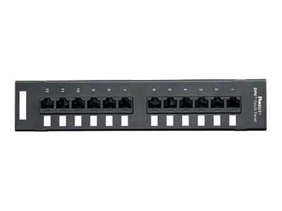 Panduit DP5e Patch Panel - 12 Ports