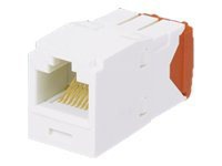 Panduit MINI-COM TX-5e - modular insert