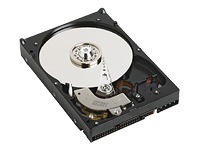 WD RE WD3200YS - hard drive - 320 GB - SATA-300