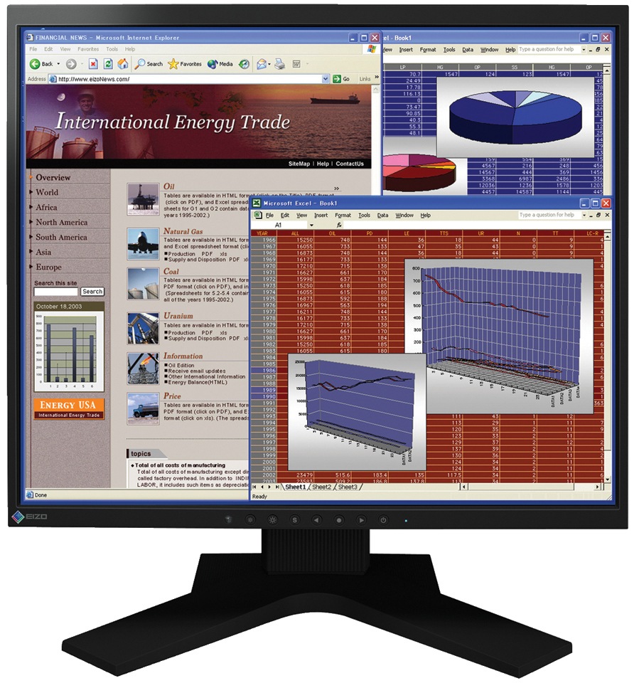 EIZO FlexScan S1961 19" LCD display