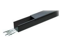 Panduit Fiber-Duct 4x4 Routing System - cable raceway