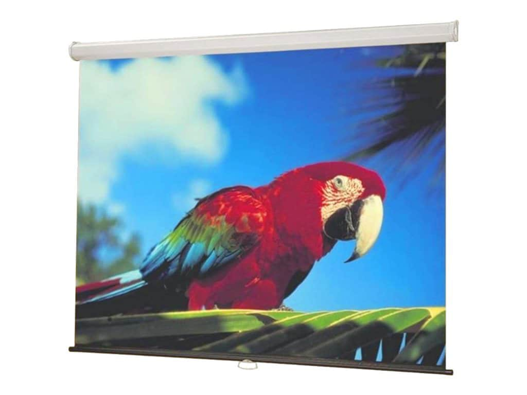 Draper Luma Manual Wall and Ceiling Projection Screen