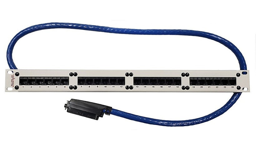 Avaya patch panel