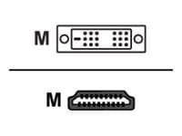 Belkin adapter cable - HDMI / DVI - 10 ft