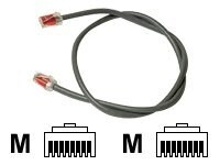 CommScope patch cable - 10 ft - orange