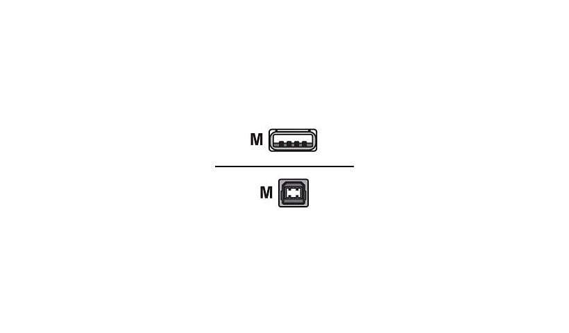 Intermec - câble USB - USB pour USB type B - 2 m