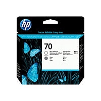 HP 70 Gloss Enhanced and Gray Printhead