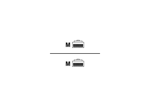 Raritan crossover cable