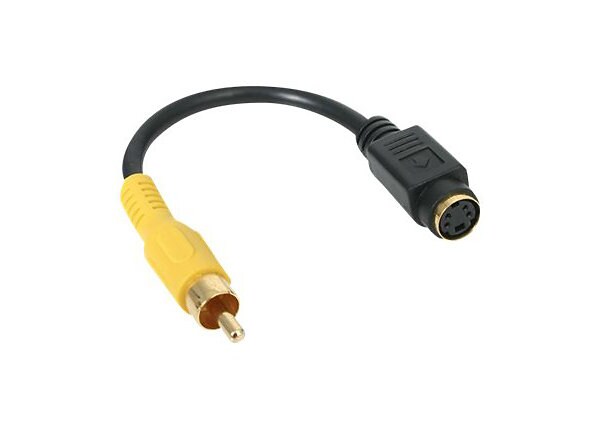 StarTech.com 6in S-Video to Composite Video Adapter Cable - video adapter - S-Video / composite video - 15 cm