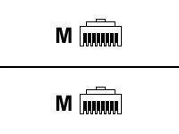 Raritan serial cable - 1 ft