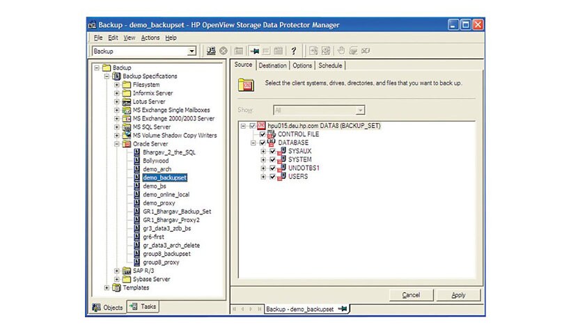 Micro Focus Data Protector On-line extension - license - 1 system / partition