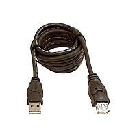 Belkin 16ft USB A/A 2.0 Extension Cable, M/F, 480Mps - USB extension cable - USB to USB - 16 ft