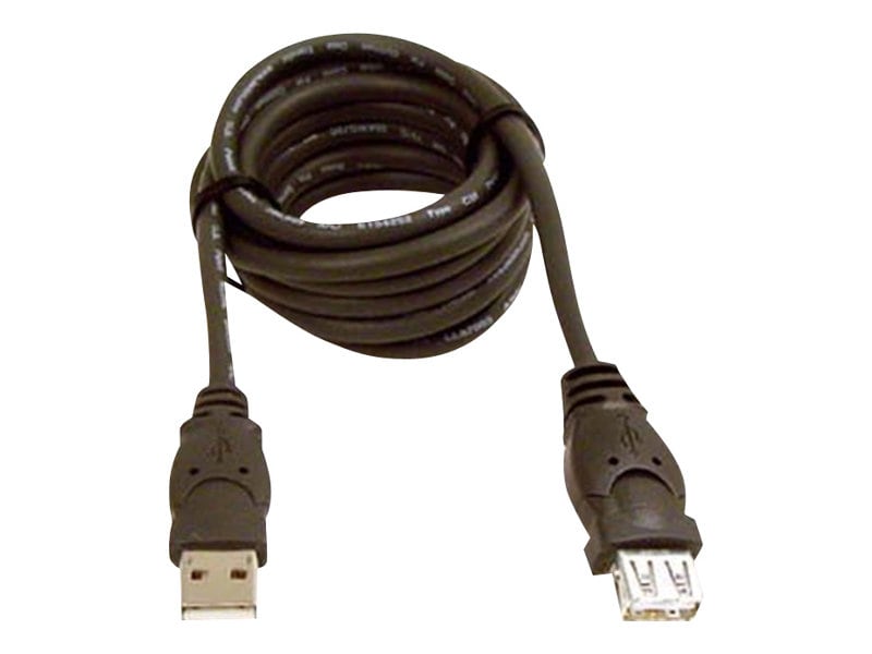 Belkin 10ft USB A/A 2.0 Extension Cable, M/F, 480Mp - USB extension cable - USB to USB - 10 ft