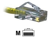 Panduit Pan-Plug network connector - clear - MP588-C - Network