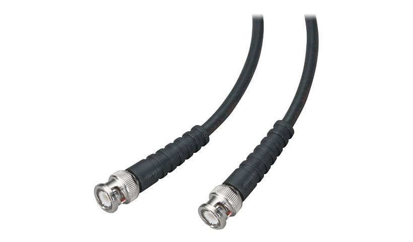 Black Box network cable - 50 ft - black