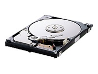 Samsung SpinPoint M40S HM080JI - hard drive - 80 GB - SATA-300