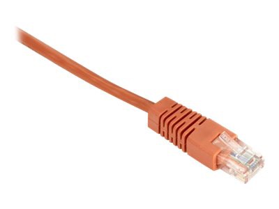 Black Box patch cable - 25 ft - orange