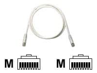 Panduit TX6 PLUS patch cable - 7 ft - off white