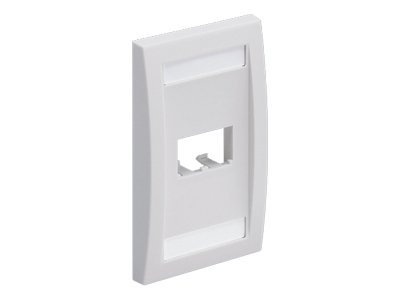 PANDUIT 2-Socket Faceplate
