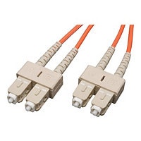 Eaton Tripp Lite Series Duplex Multimode 62.5/125 Fiber Patch Cable (SC/SC), 1M (3 ft.) - patch cable - 0.9 m