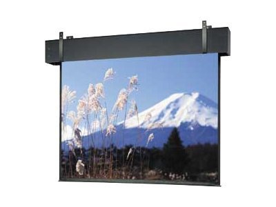 Da-Lite Professional Electrol 141"x188" Projector Screen
