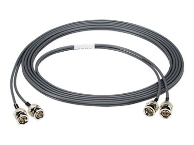 Black Box High-Speed DS-3 - network cable - 25 ft - gray
