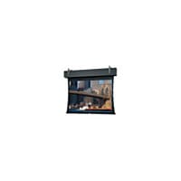 Da-Lite Tensioned Professional Electrol projection screen - 240" (240.2 in)