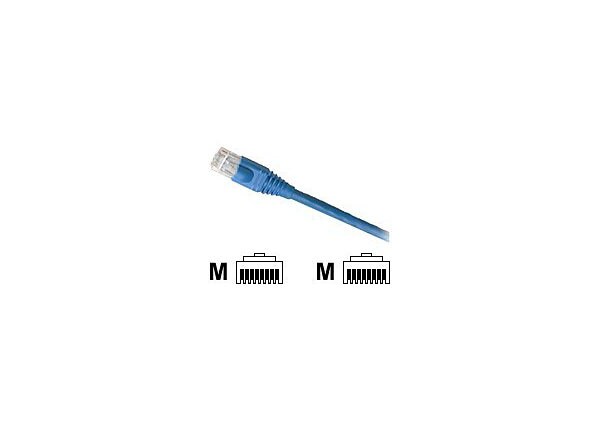 Leviton GigaMax patch cable - 10 ft - blue