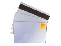 Ultra Electronics Magicard HiCo Magnetic Stripe Holopatch - card - 500 pcs.