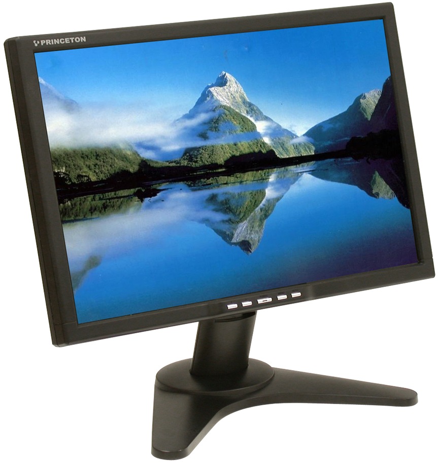 Princeton VL2018W 20" LCD Display