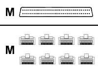 Cisco router cable