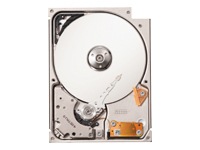 Seagate Lyrion ST760211DE - hard drive - 60 GB - IDE