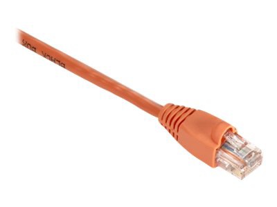 Black Box GigaTrue patch cable - 19.7 ft - orange