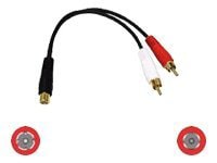 C2G Value Series 6in Value Series One RCA Female to Two RCA Male Y-Cable -