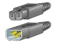 Cisco Jumper - power cable - IEC 60320 C15 to IEC 60320 C14 - 2.3 ft