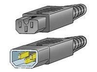 Cisco 2.3' Jumper Power Cord