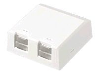 Panduit MINI-COM Shuttered Surface Mount Box - surface mount box