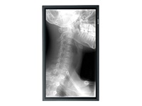 Sharp PN-G655RU 65" LCD Display