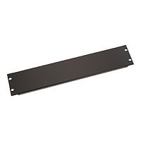 Black Box rack filler panel - 2U