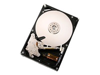 Hitachi DeskStar 7K1000 - hard drive - 1 TB - SATA-300